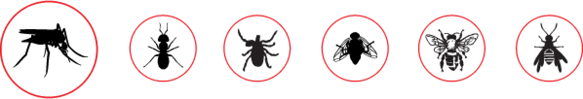 BITE HELPER 蚊蟲叮咬舒緩器 