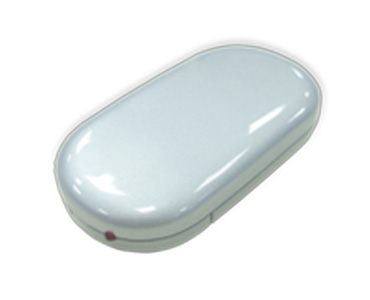 Electronic Hand Warmer