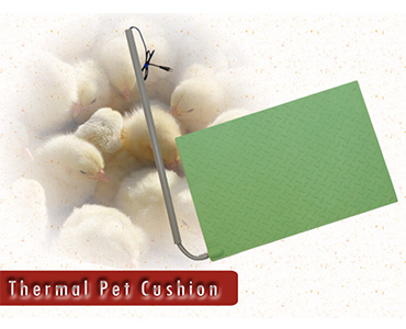 Pet Thermal Pad