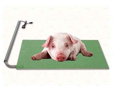 Pet Thermal Pad